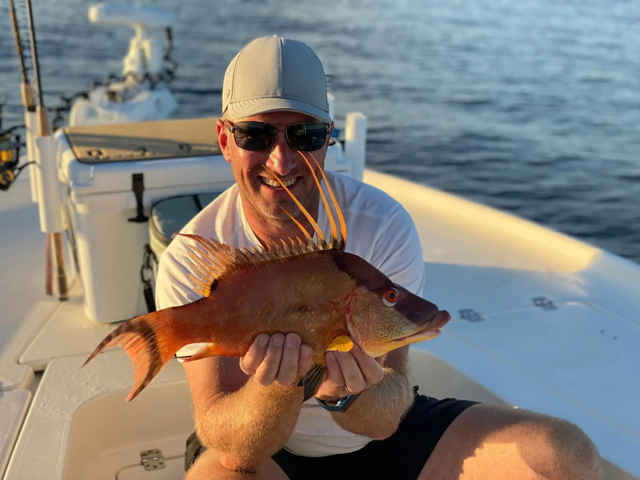 Angler holding a hogfish aboard a guided fishing charter